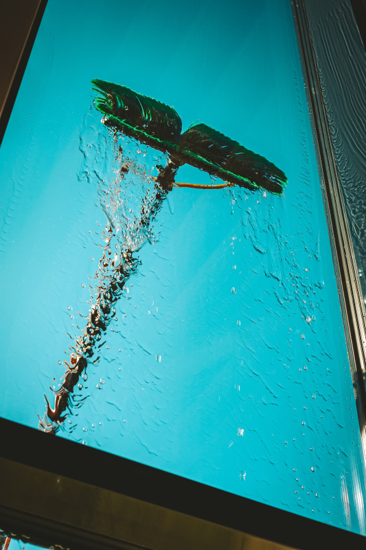 image image - 2025-11-26T133748.545.jpg